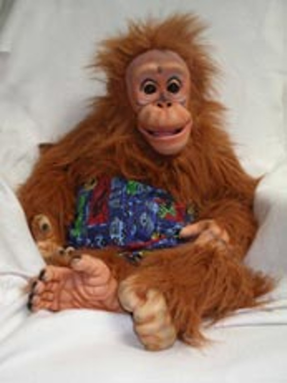 A monkey puppet