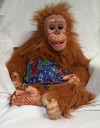 A monkey puppet